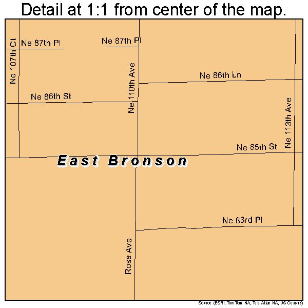 East Bronson, Florida road map detail