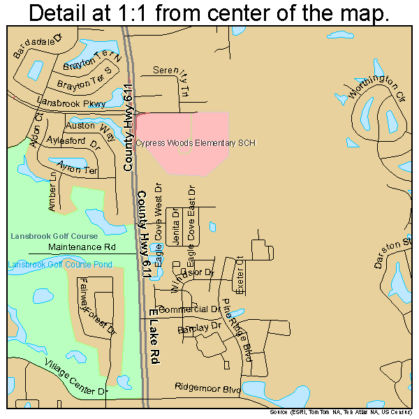 East Lake, Florida road map detail