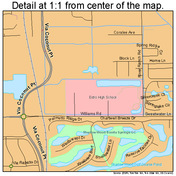 Estero, Florida road map detail