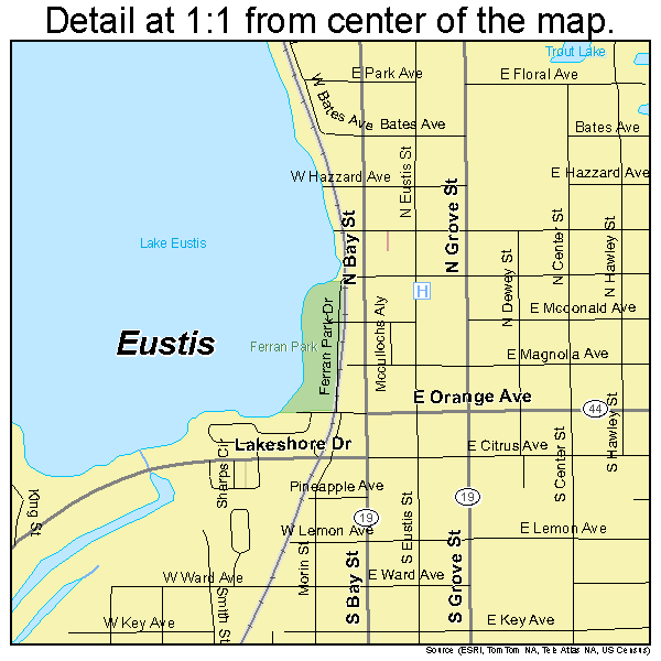 Eustis, Florida road map detail