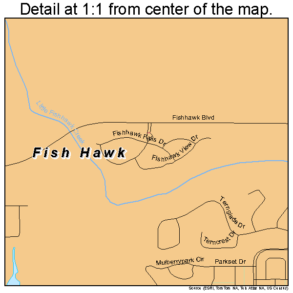 Fish Hawk, Florida road map detail