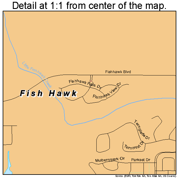 Fish Hawk Florida Street Map 1222387