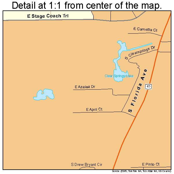 Floral City, Florida road map detail