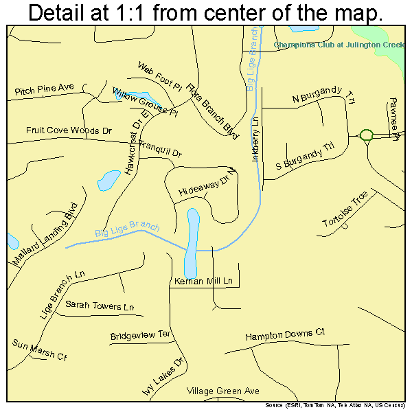 Fruit Cove, Florida road map detail