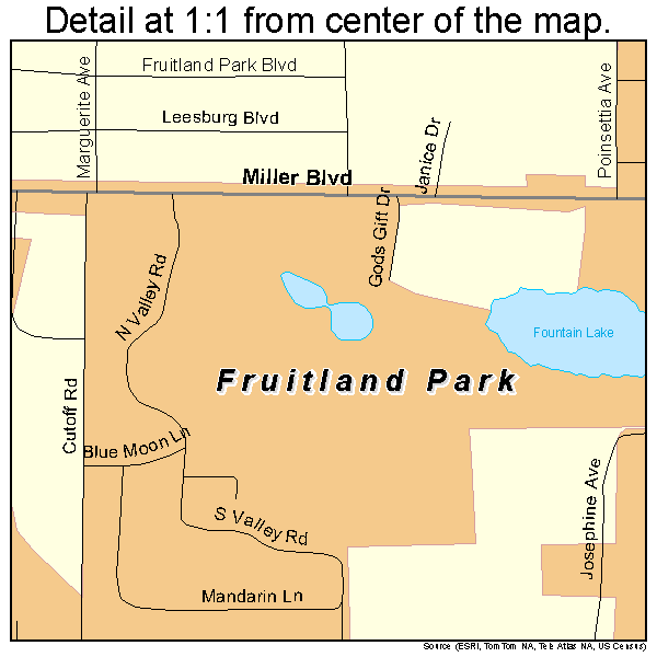 Fruitland Park, Florida road map detail