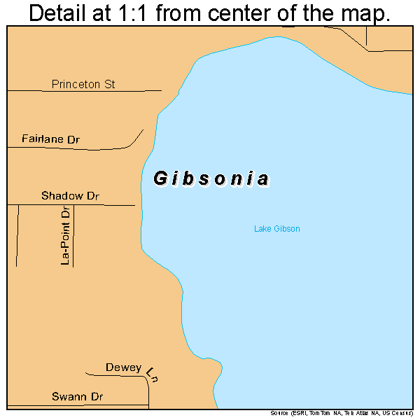 Gibsonia, Florida road map detail