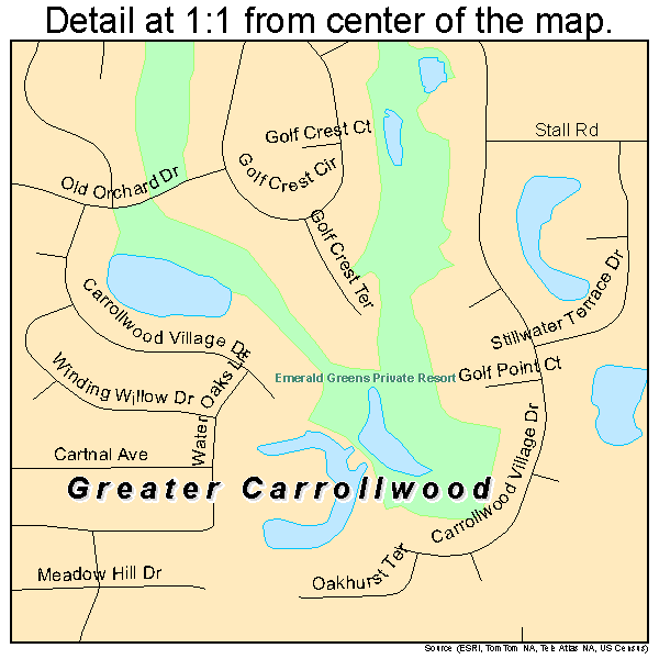 Greater Carrollwood, Florida road map detail