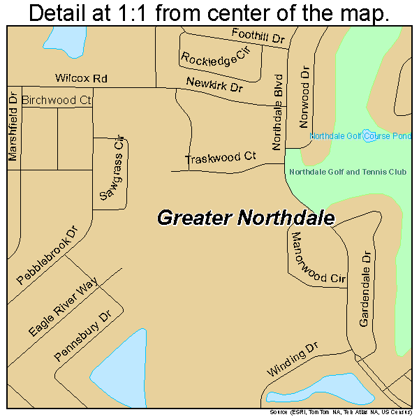 Greater Northdale, Florida road map detail