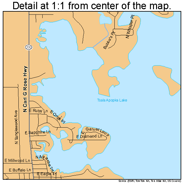 Hernando, Florida road map detail