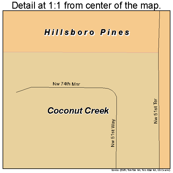 Hillsboro Pines, Florida road map detail