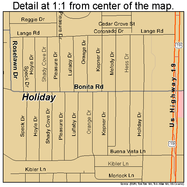 Holiday, Florida road map detail