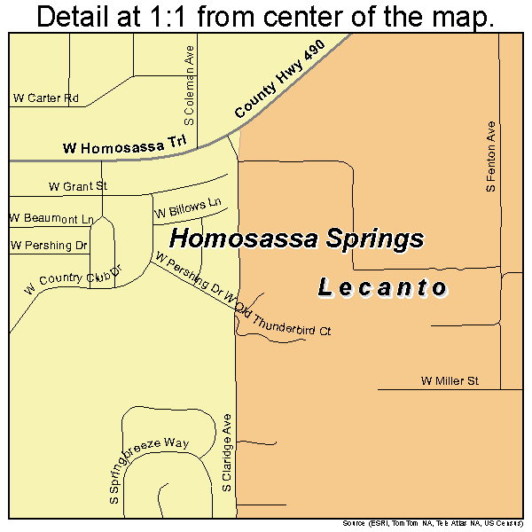 Homosassa Springs, Florida road map detail