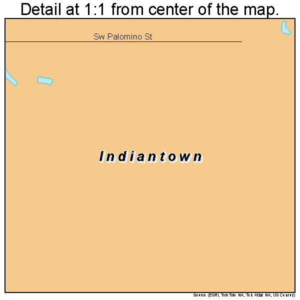 Indiantown, Florida road map detail