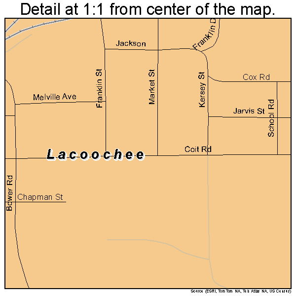 Lacoochee, Florida road map detail