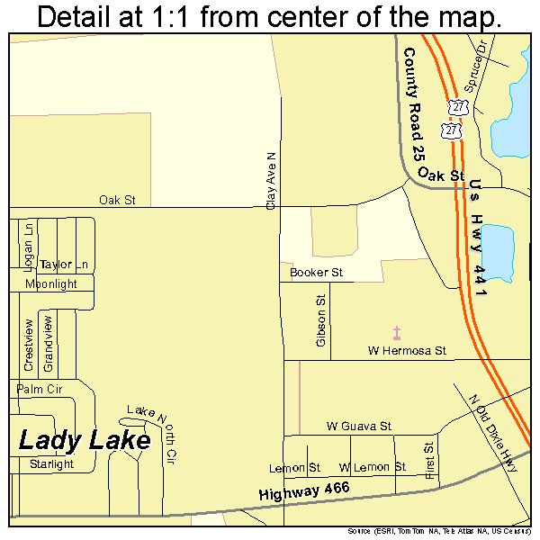 Lady Lake, Florida road map detail