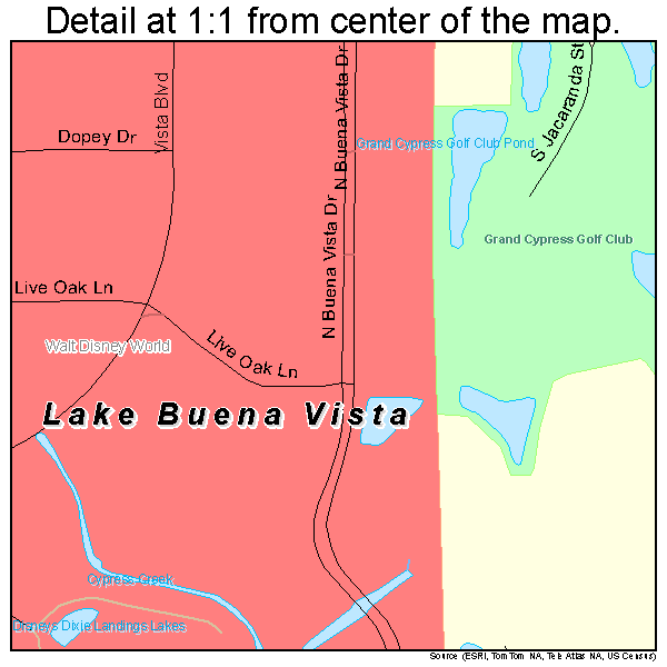 Lake Buena Vista, Florida road map detail