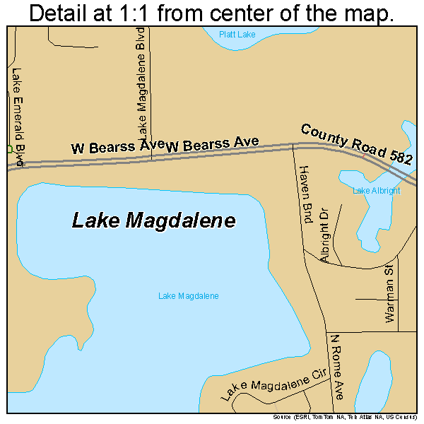 Lake Magdalene, Florida road map detail