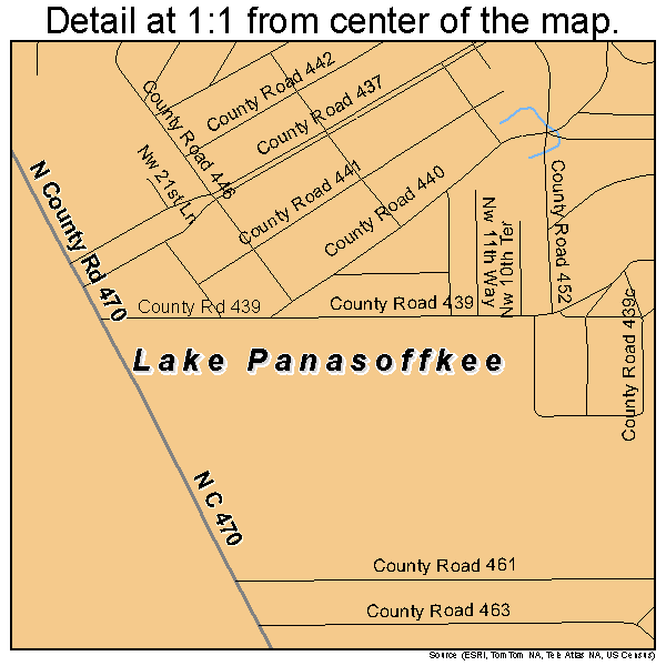 Lake Panasoffkee, Florida road map detail