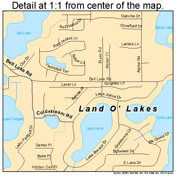 Land O' Lakes, Florida road map detail