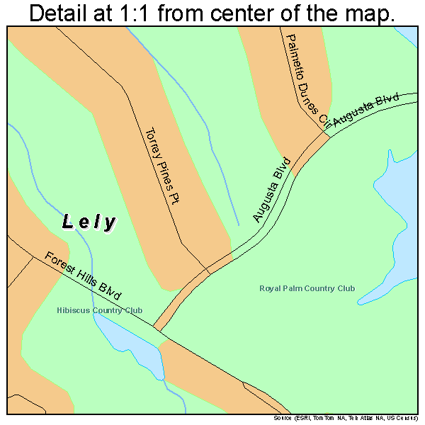 Lely, Florida road map detail