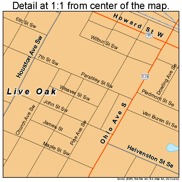 Live Oak, Florida road map detail