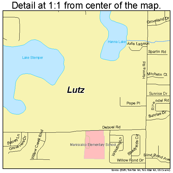 Lutz, Florida road map detail