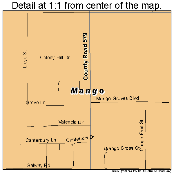 Mango, Florida road map detail