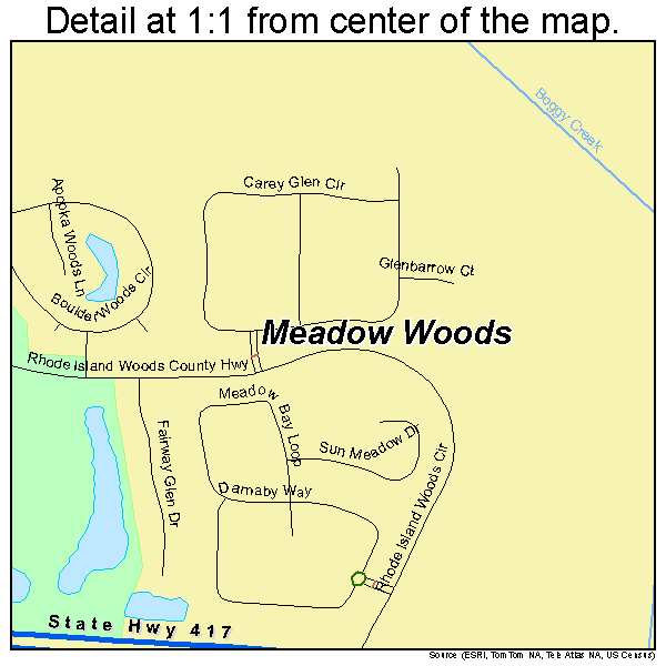 Meadow Woods, Florida road map detail