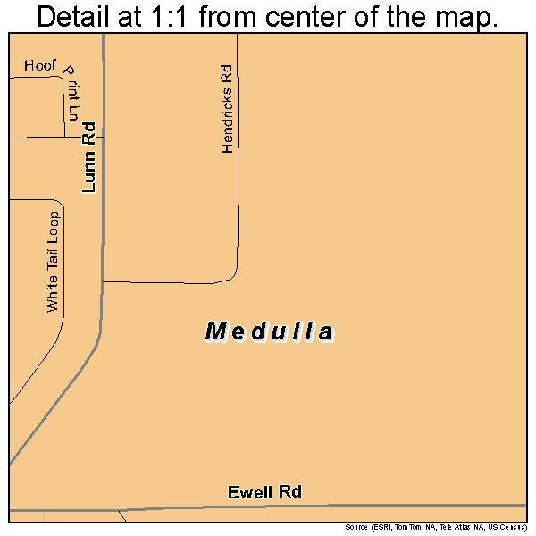 Medulla, Florida road map detail