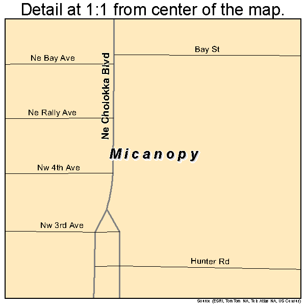 Micanopy, Florida road map detail