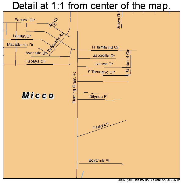 Micco, Florida road map detail
