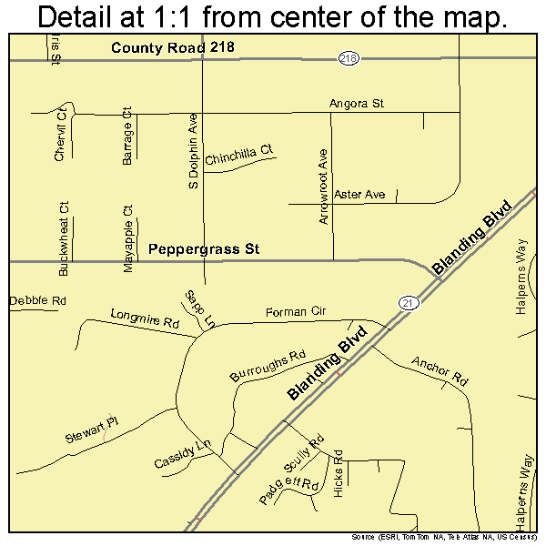 Middleburg, Florida road map detail