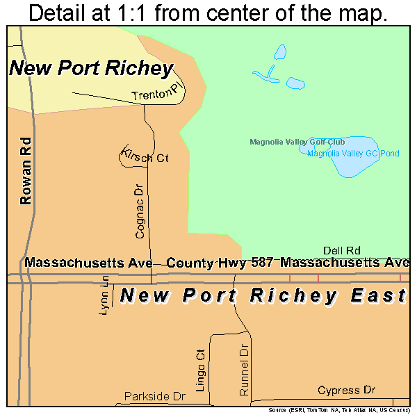 New Port Richey East, Florida road map detail