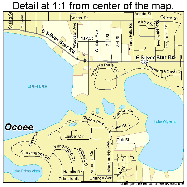 Ocoee, Florida road map detail