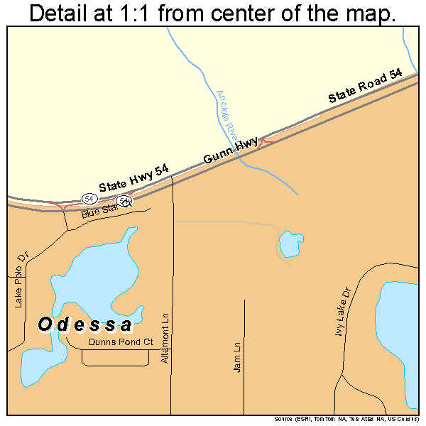 Odessa, Florida road map detail