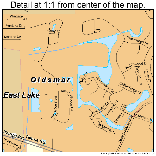 Oldsmar, Florida road map detail