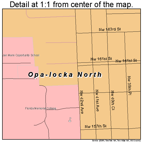 Opa-locka North, Florida road map detail