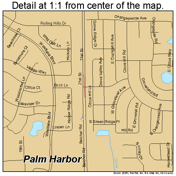 Palm Harbor, Florida road map detail