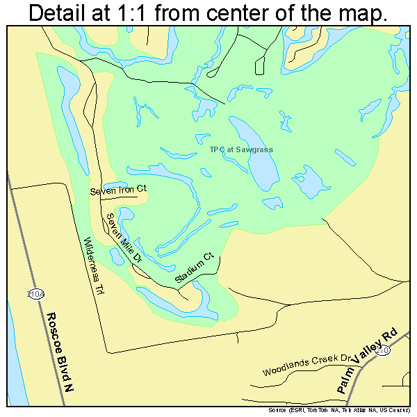 Palm Valley, Florida road map detail