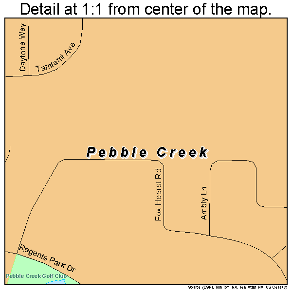 Pebble Creek, Florida road map detail