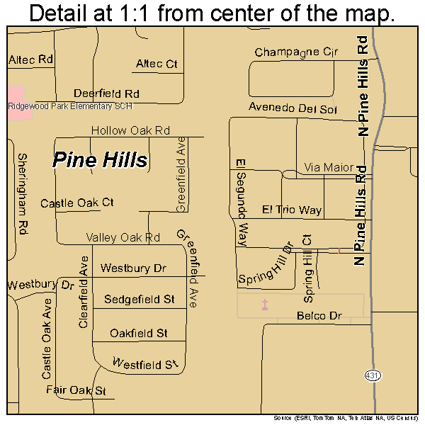 Pine Hills, Florida road map detail