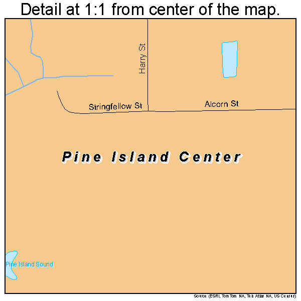 Pine Island Center, Florida road map detail