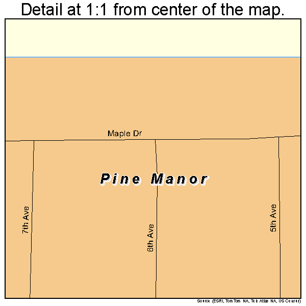 Pine Manor, Florida road map detail