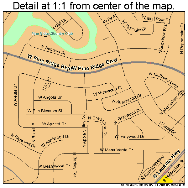 Pine Ridge, Florida road map detail