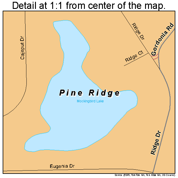 Pine Ridge, Florida road map detail