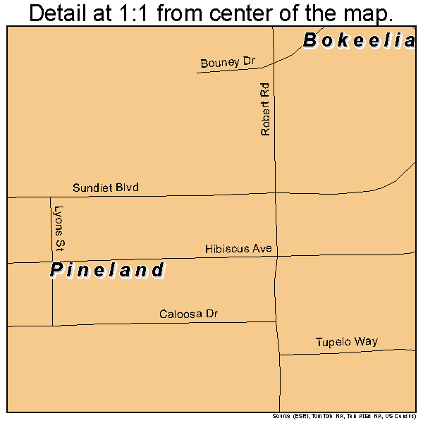 Pineland, Florida road map detail