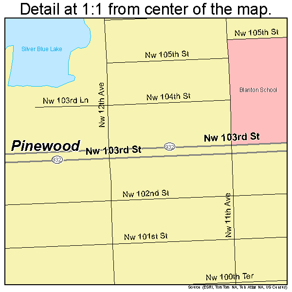 Pinewood, Florida road map detail