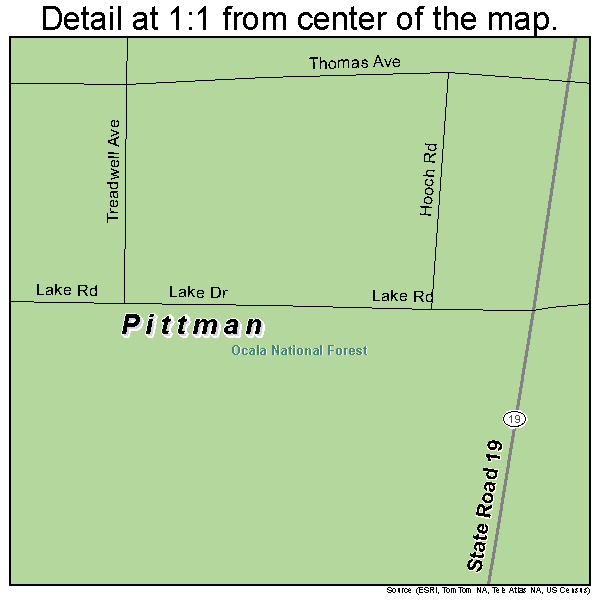 Pittman, Florida road map detail