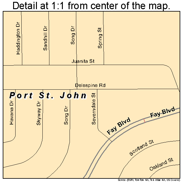 Port St. John, Florida road map detail