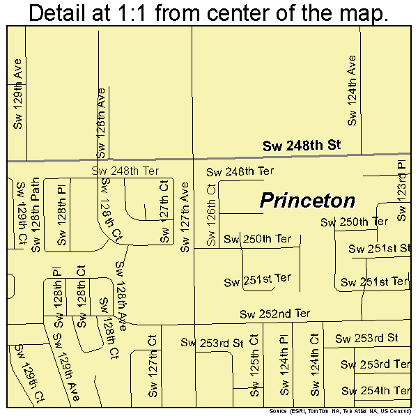 Princeton, Florida road map detail